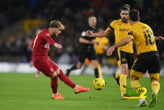 dortmund vs hoffenheim