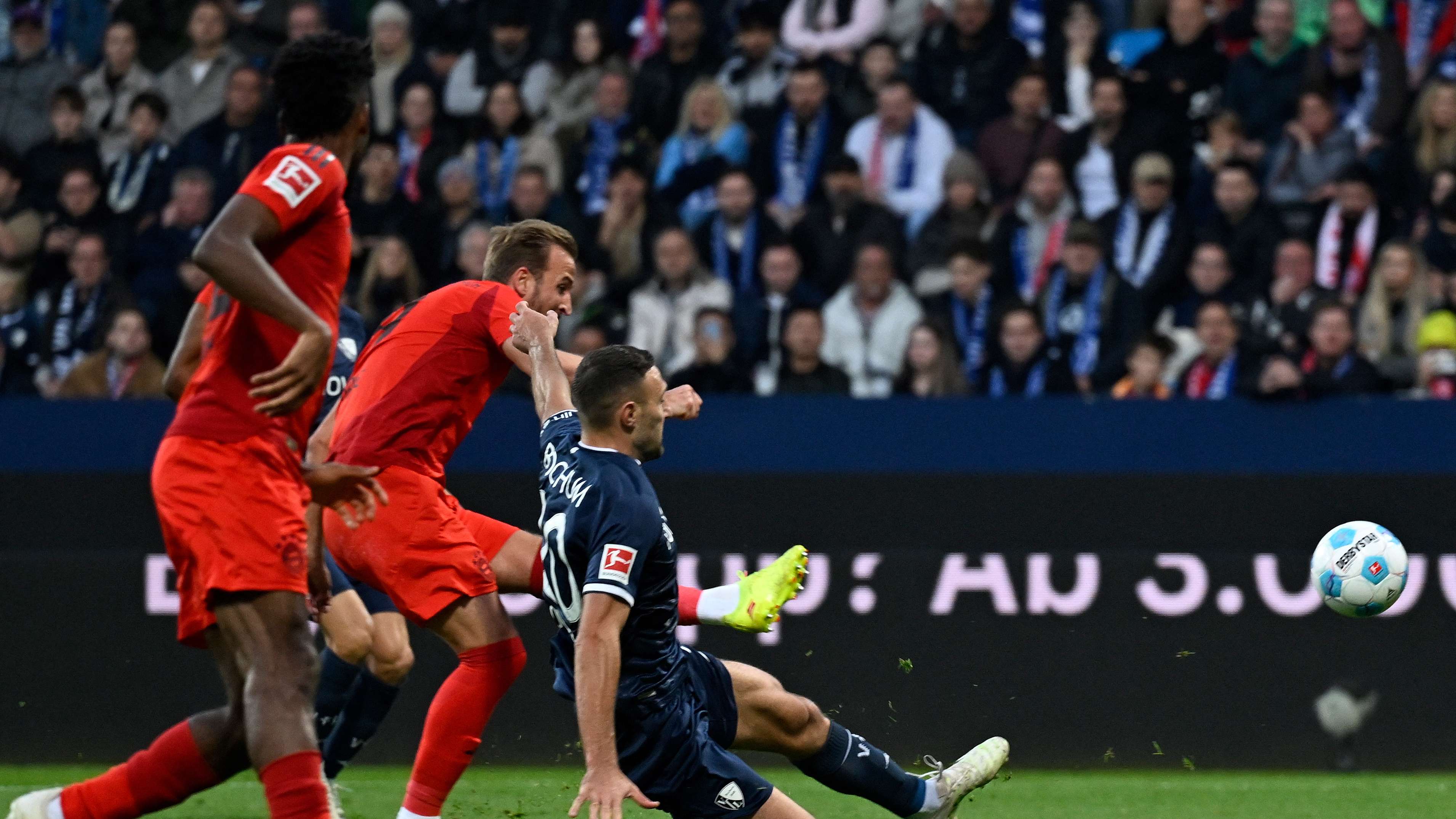 dortmund vs hoffenheim