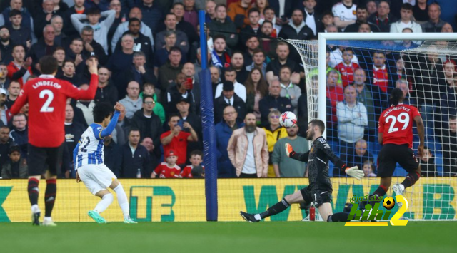 leicester city vs brighton