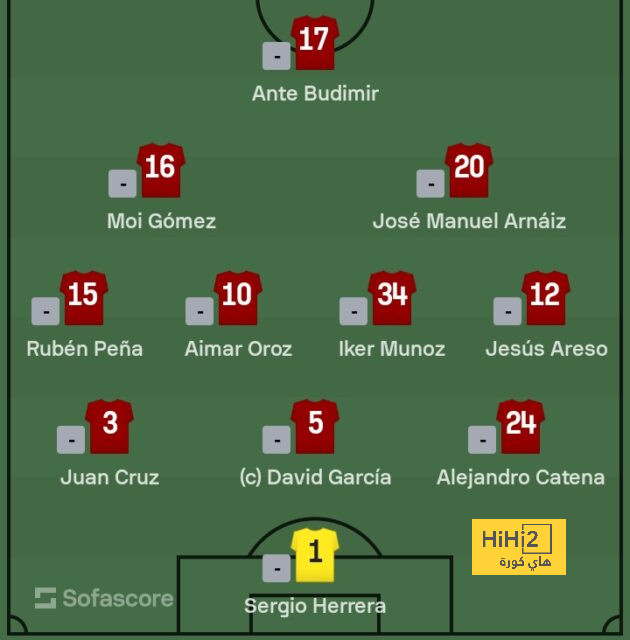 dortmund vs hoffenheim