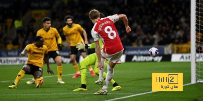 dortmund vs hoffenheim