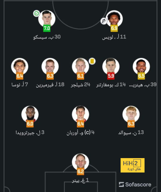 dortmund vs hoffenheim