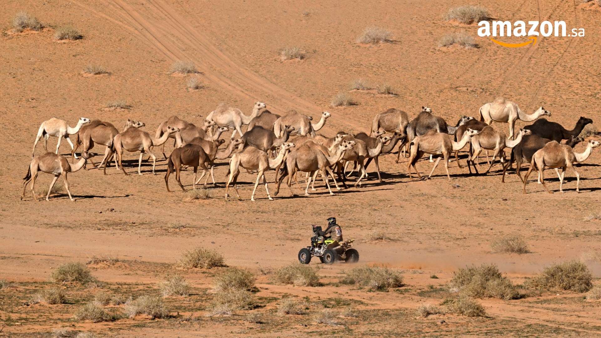 دور رابيو وجورجينيو في صفقة انتقال دي ليخت لتشيلسي 